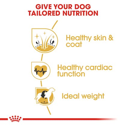 Royal Canin Golden Retriever Adult Dog Food Dry