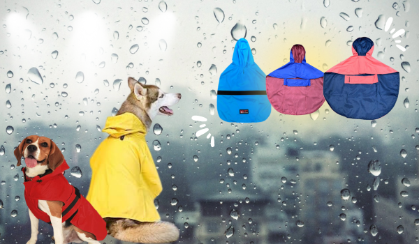 Buy a raincoat near 2025 me