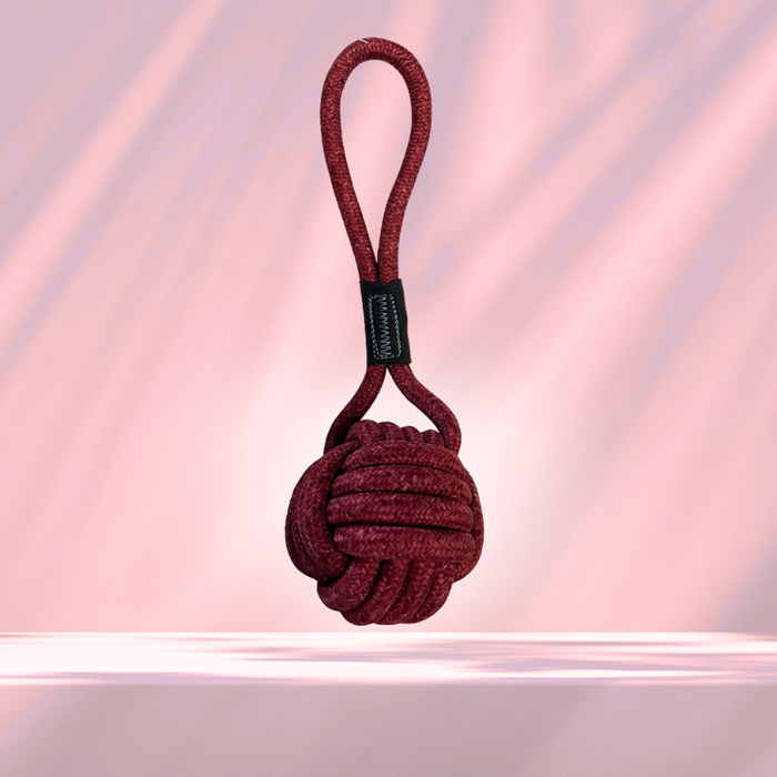 BearHugs Rope Tug Toy - Assorted colors