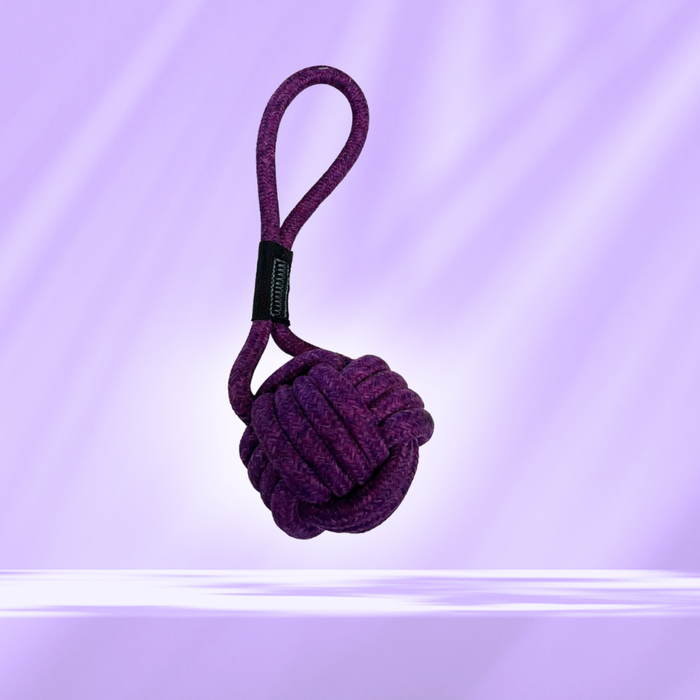 BearHugs Rope Tug Toy - Assorted colors