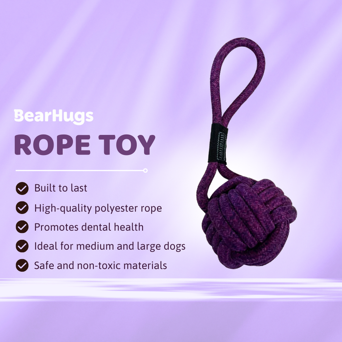 BearHugs Rope Tug Toy - Assorted colors