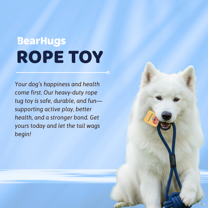 BearHugs Rope Tug Toy - Assorted colors