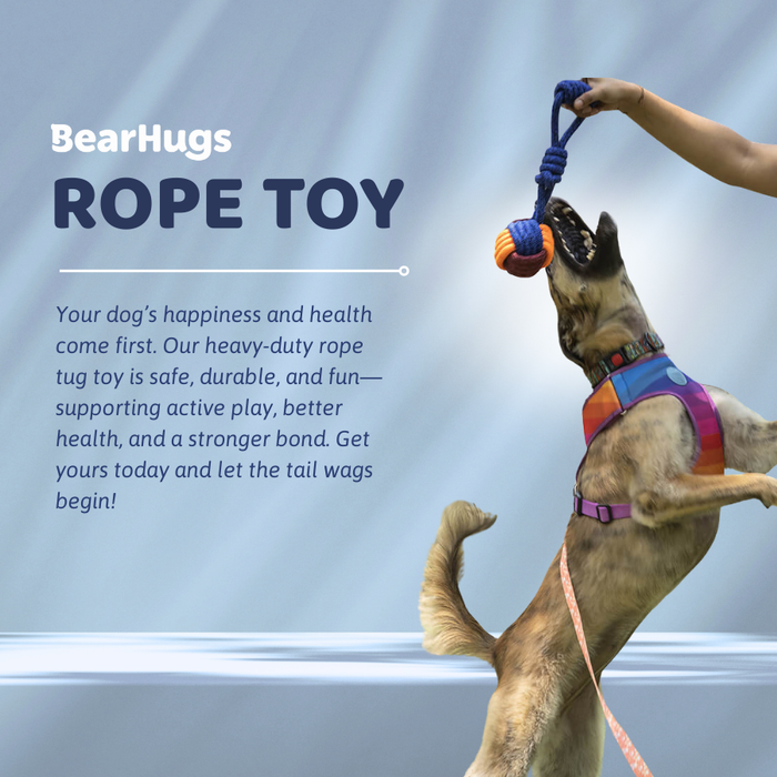 BearHugs Rope Tug Toy - Assorted colors