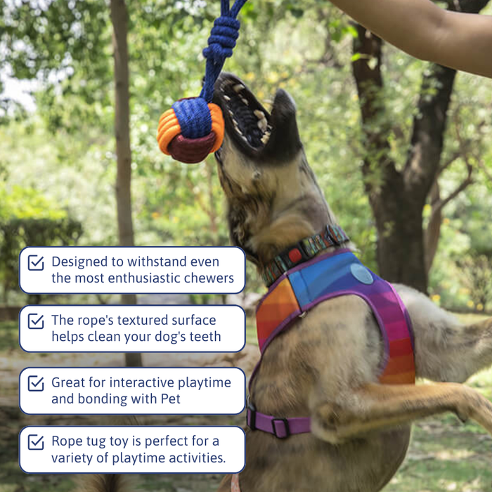 BearHugs Rope Tug Toy - Assorted colors