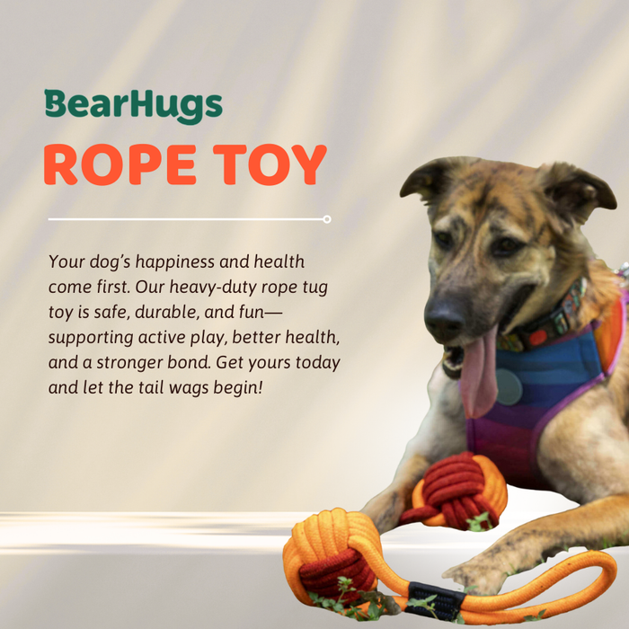 BearHugs Rope Tug Toy - Assorted colors