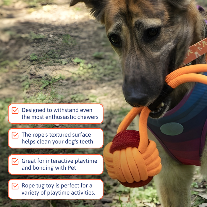 BearHugs Rope Tug Toy - Assorted colors