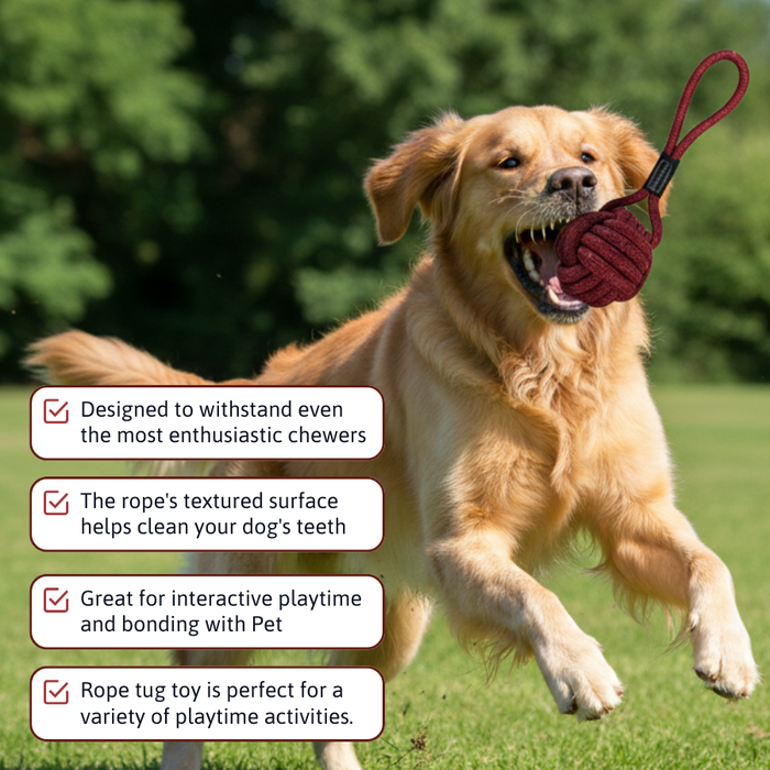 BearHugs Rope Tug Toy - Assorted colors