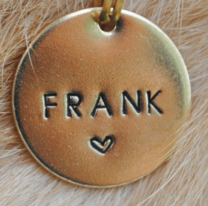 Personalised Brass Pendant Name Tags for Dog & Cat