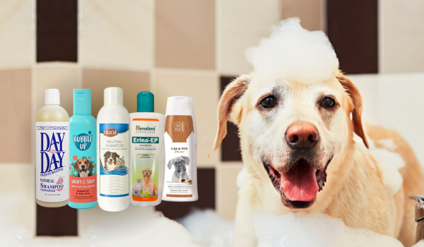 Buy Dog Shampoo and Conditioners Online Dog Accessories Store