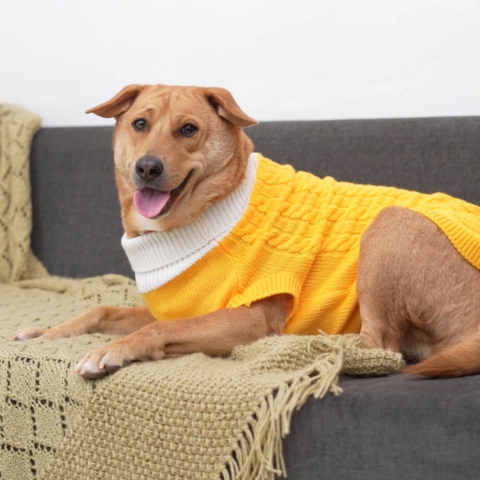 BearHugs Cable Knit Dog Sweater - Yellow