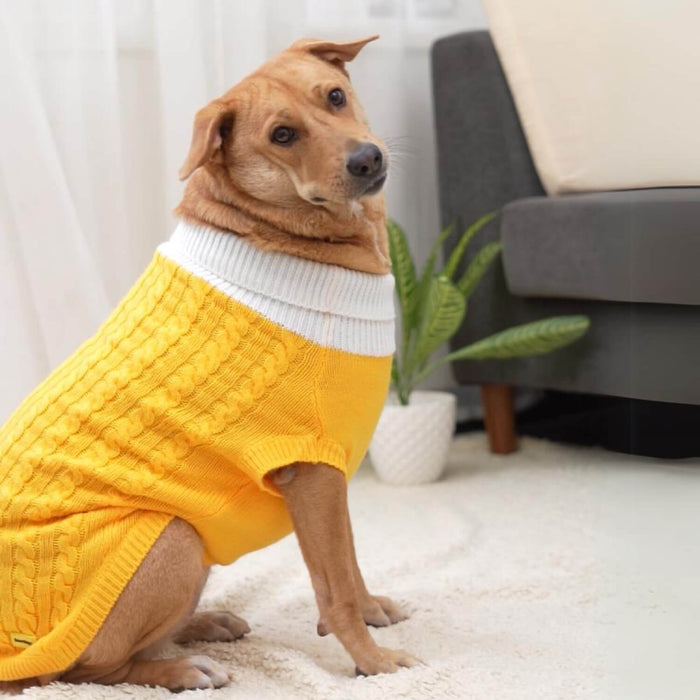 BearHugs Cable Knit Dog Sweater - Yellow