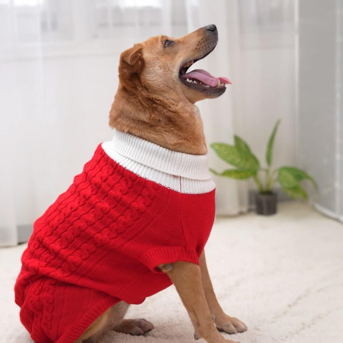 BearHugs Cable Knit Dog Sweater - Red