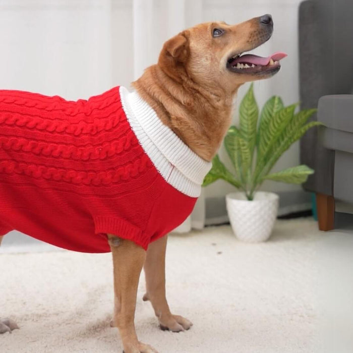 BearHugs Cable Knit Dog Sweater - Red