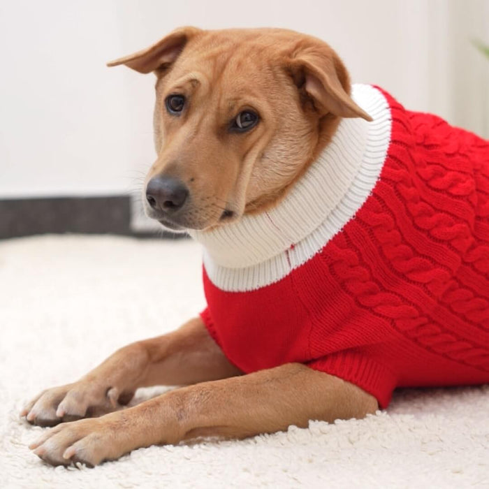 BearHugs Cable Knit Dog Sweater - Red