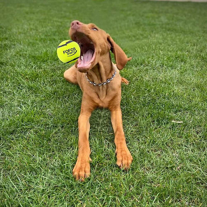 Barkbutler Fofos Sports Fetch Ball For Dogs - 2pk