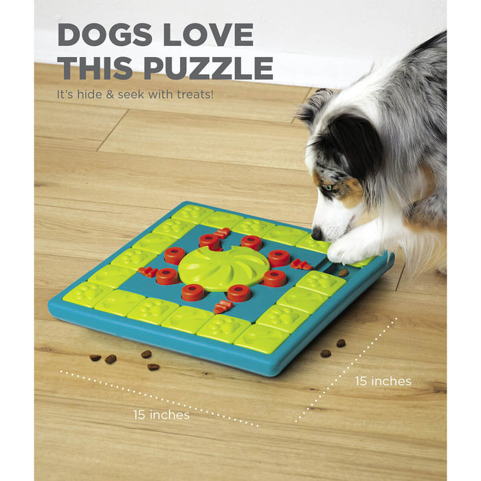Outward Hound Multipuzzle Interactive Puzzle
