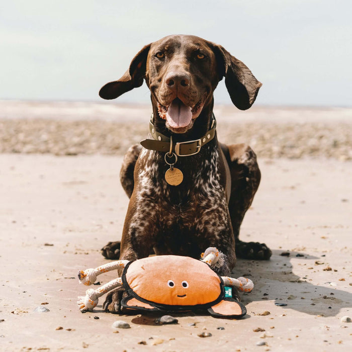 Beco Dual Material Crab Toy for Dogs