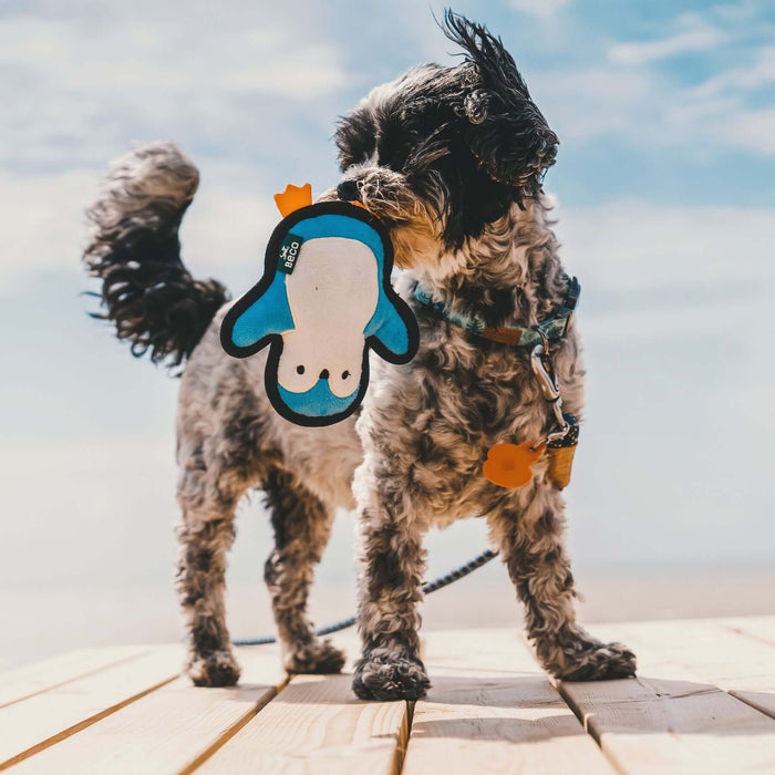 Beco Rough and Tough Penguin Toy for Dogs