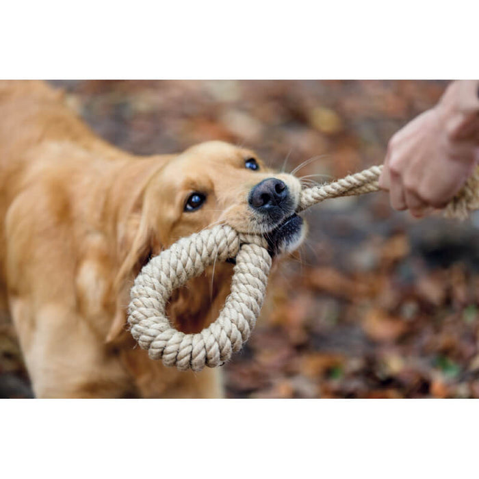 Trixie Playing Rope with Ring Dog Toy