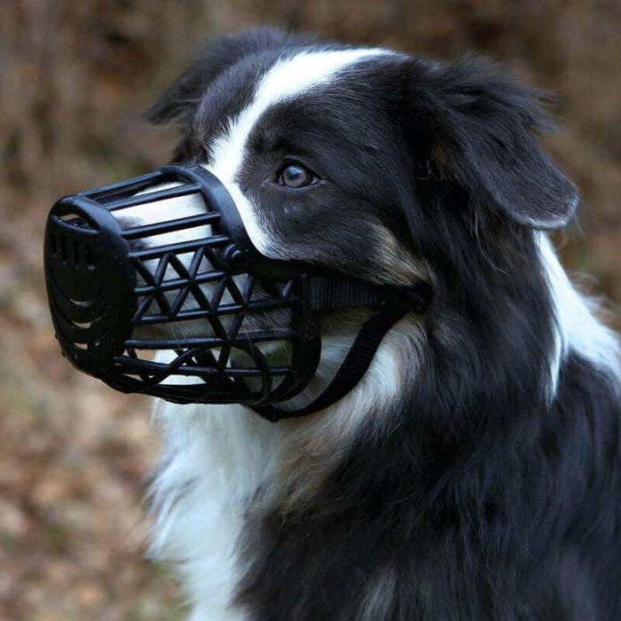 Trixie 31 cm plastic Muzzle  German Shepherd Black - Large
