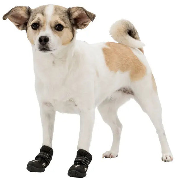 Trixie 2 pcs Walker Active protective Black boots For Jack Russell Terrier
