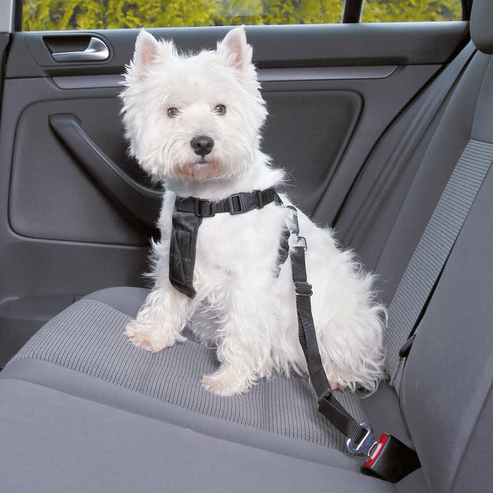 Trixie Car Harness For Dogs - Black