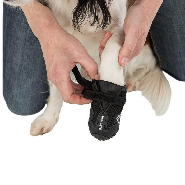Trixie 2 pcs Walker Active protective Black boots For Golden Retriever Dog
