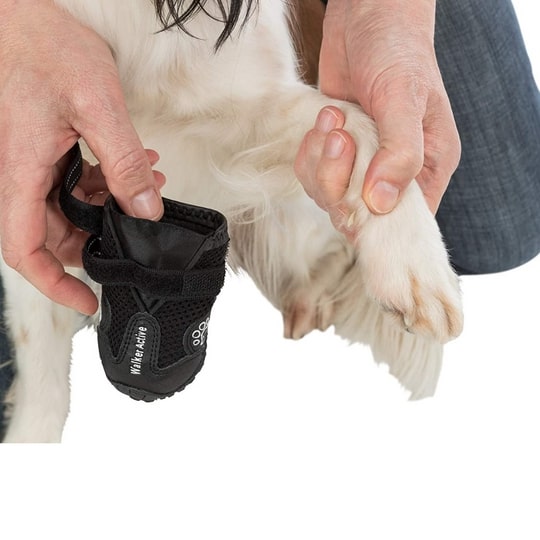 Trixie 2 pcs Walker Active protective Black boots For Golden Retriever Dog