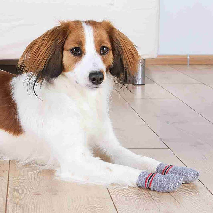Trixie Non-Slip Dog Socks - Grey