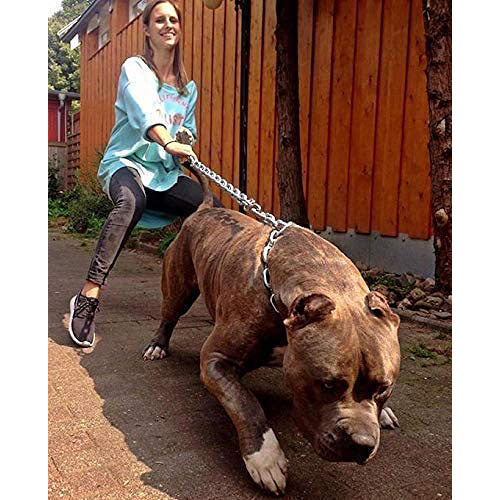 Trixie Yard Chain Galvanized for Dog & Cat
