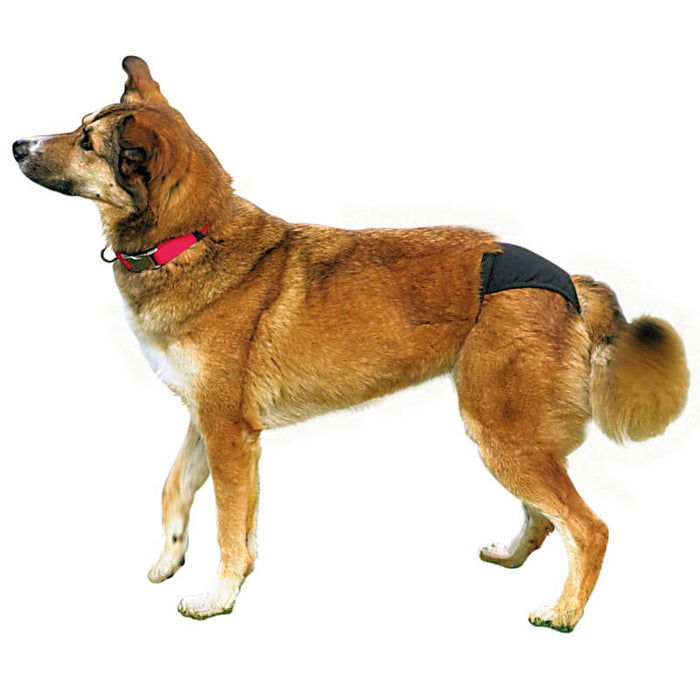 Trixie Washable Protective Pants for Dogs