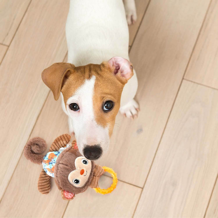 Barkbutler Fofos Puppy Toy for Dog - Monkey