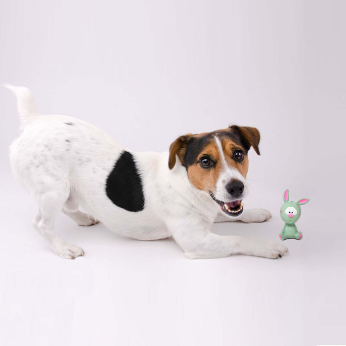 Barkbutler Fofos Latex Bi Toy Rabbit for Dog - Small