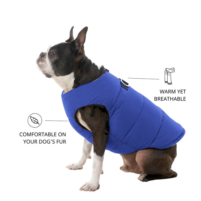 Zoomiez Ultimate Dog Jacket With Built In Harness - Navy Blue/Black
