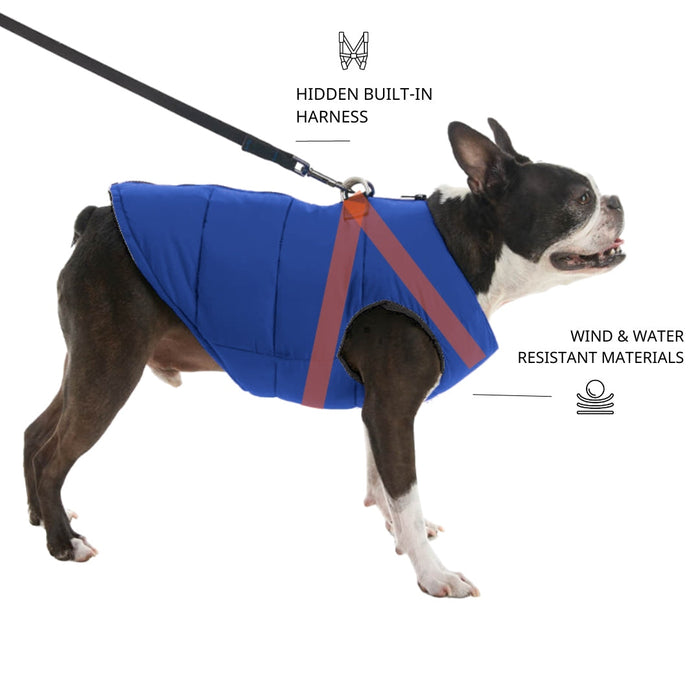 Zoomiez Ultimate Dog Jacket With Built In Harness - Navy Blue/Black