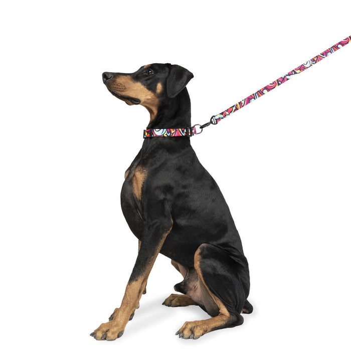 Zoomiez Drip Printed Dog Collar