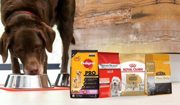 Online dog food clearance retailers