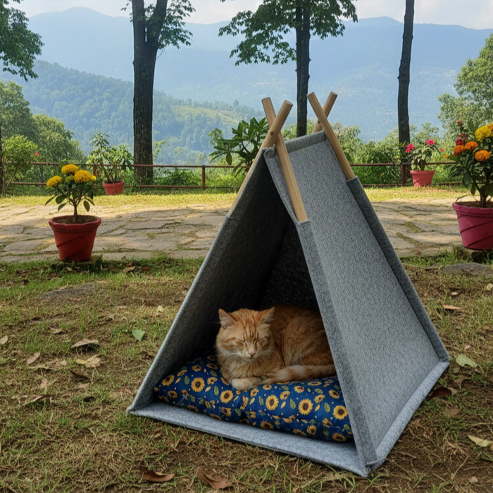 BearHugs Cat Tent