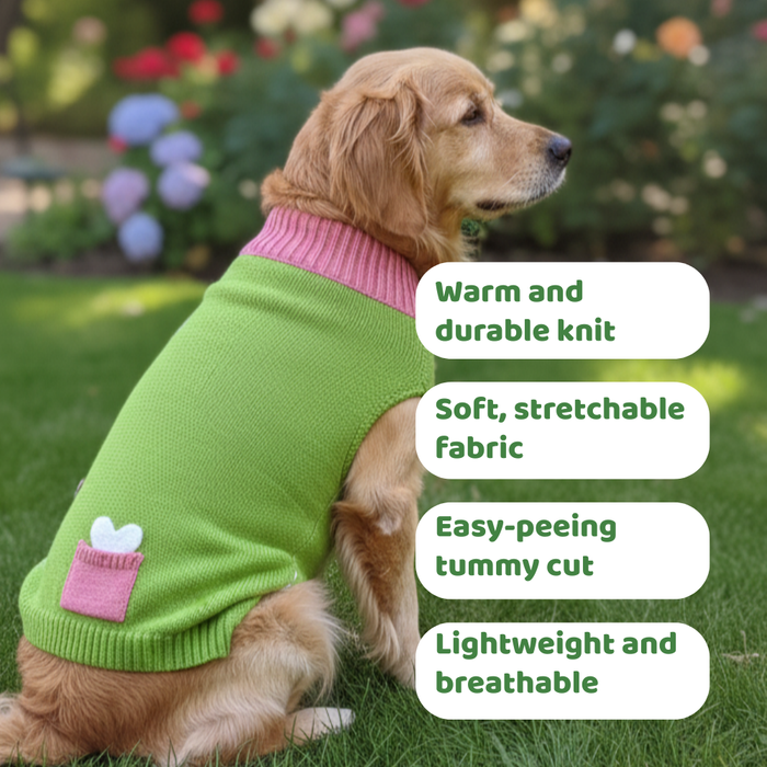 BearHugs Bone in Pocket Print Pet Sweater for Dogs