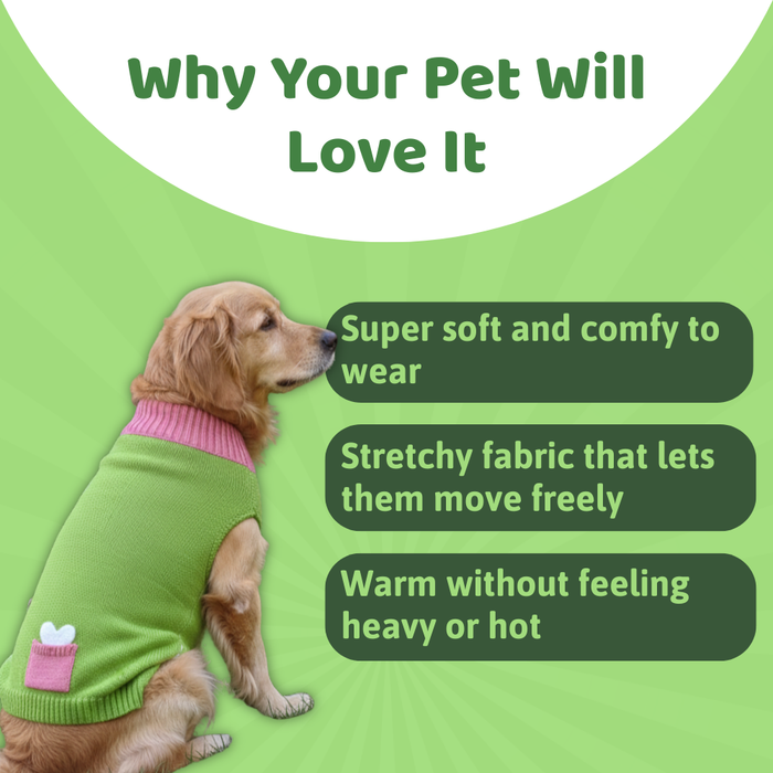 BearHugs Bone in Pocket Print Pet Sweater for Dogs