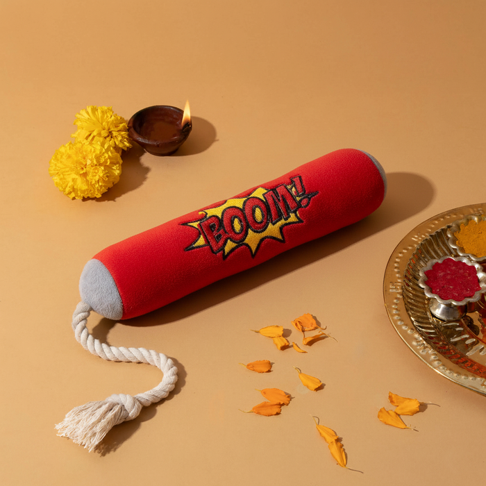 BearHugs Pawtaka Squeaky Plush Toy for Pets