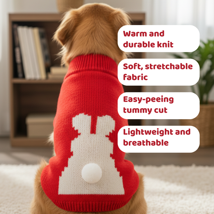 BearHugs Bunny Tail Pet Sweater for Dogs