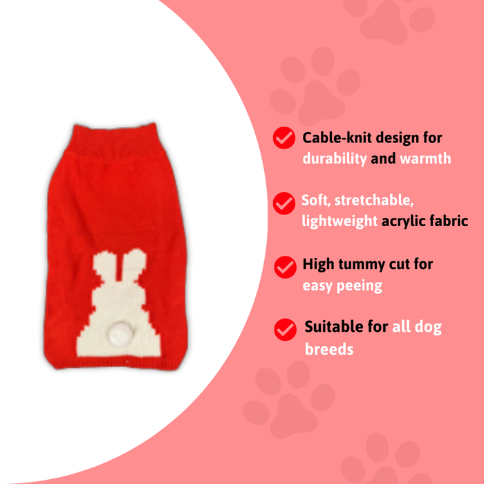 BearHugs Bunny Tail Pet Sweater for Dogs