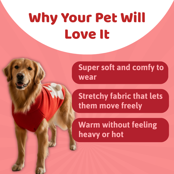 BearHugs Bunny Tail Pet Sweater for Dogs