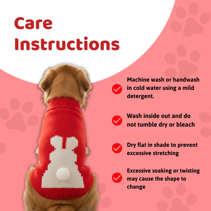 BearHugs Bunny Tail Pet Sweater for Dogs