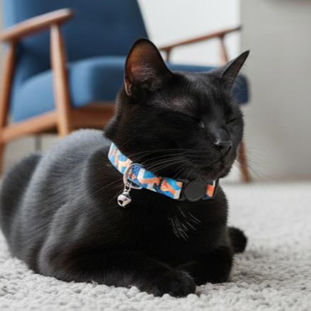 BearHugs Cat Collar with Bell - Assorted Colours - 1 Pc