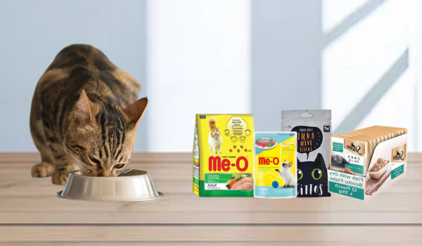 Cat food on sales sale near me