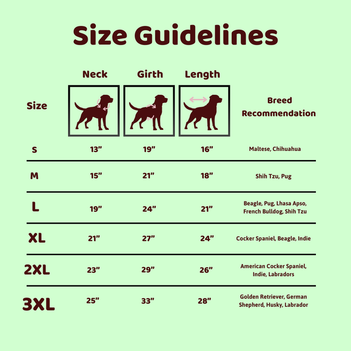 BearHugs Daisy Floral Print Pet Sweater for Dogs