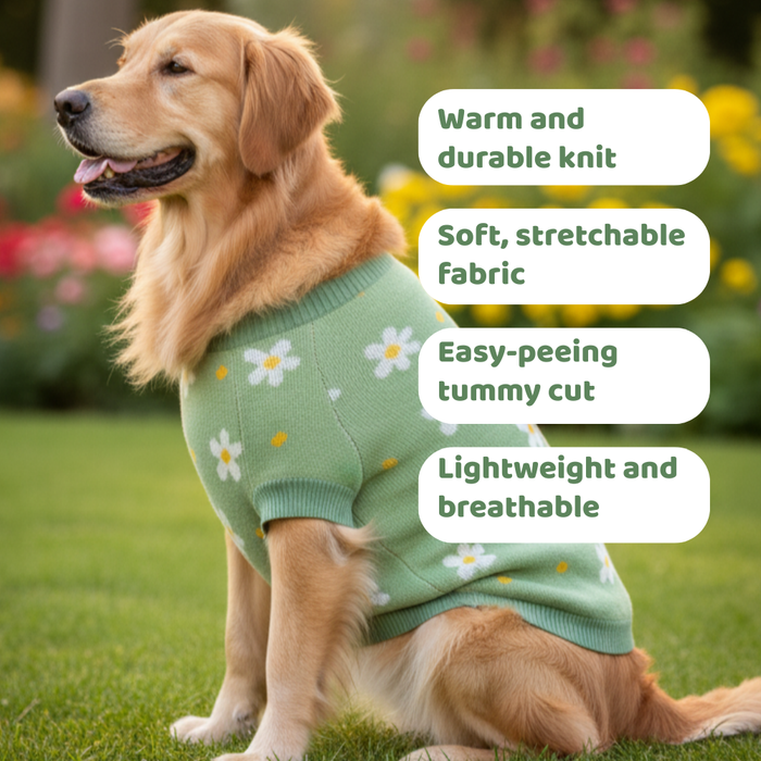 BearHugs Daisy Floral Print Pet Sweater for Dogs