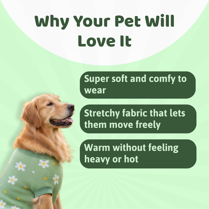 BearHugs Daisy Floral Print Pet Sweater for Dogs